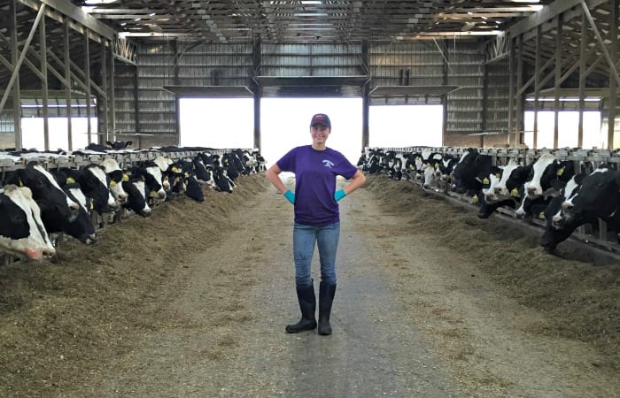 A Day in the Life on a Michigan Dairy Farm - United Dairy ...