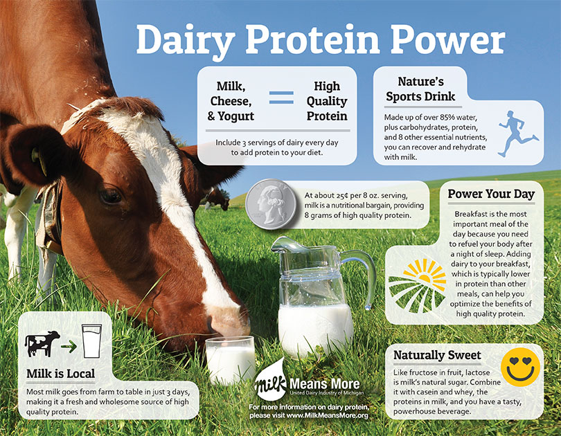 Daily Protein Power Handout