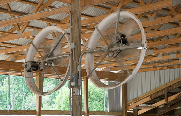 Large fans automatically turn on when the temperature reaches 65 and help keep the cows cool.