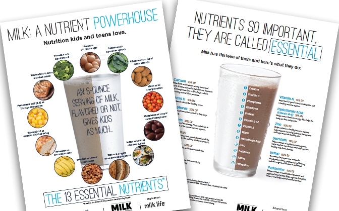 Milk: 13 Essential Nutrients