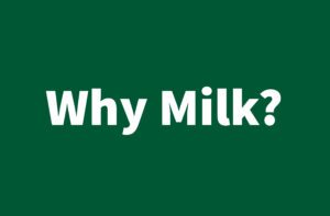 Why-Milk
